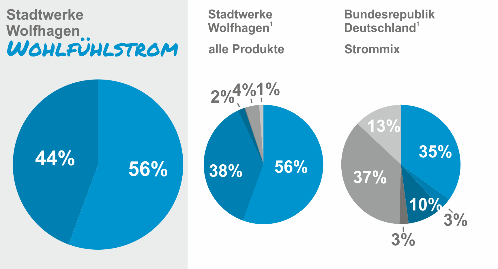 strommix-stadtwerke-wolfhagen-gesamt-basis-2018