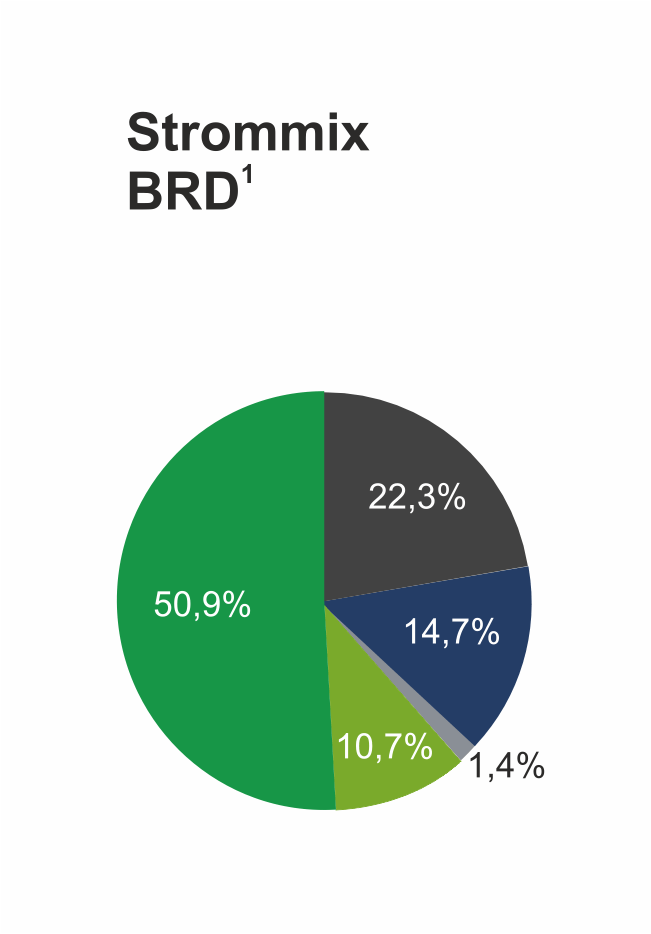 Strommix Deutschland 2025