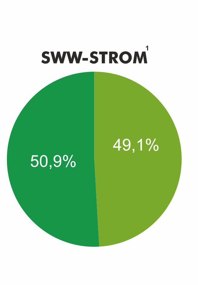 SWW-Strom 2025: 50,9 Prozent erneuerbare Energien, gefördert nach EEG, und 49,1 Prozent sonstige erneuerbare Energien