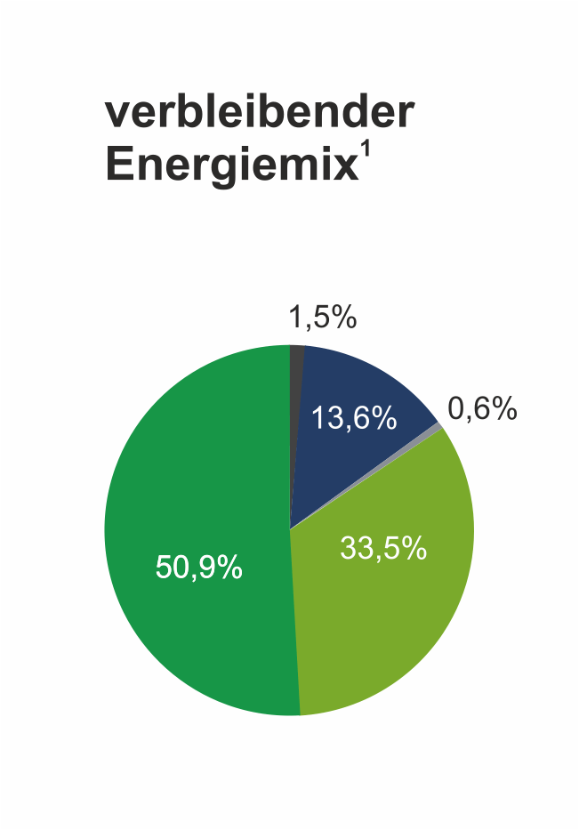 Verbleibender Energieträgermix 2025 der Stadtwerke Wolfhagen